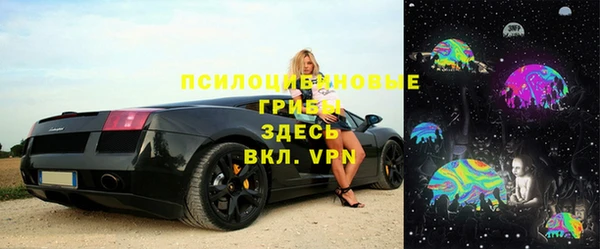 твердый Абаза
