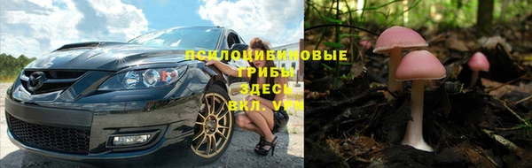 твердый Абаза
