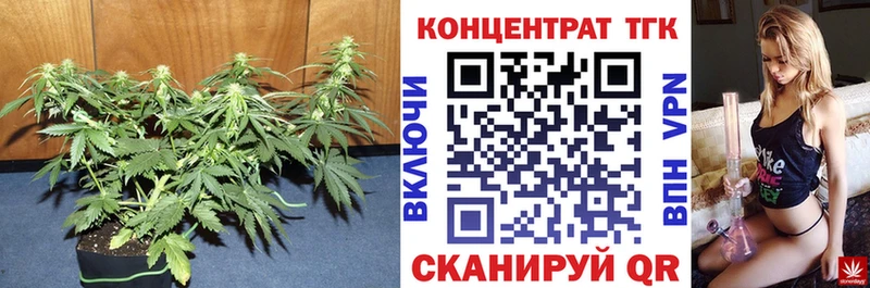 где купить наркотик  Жердевка  ТГК THC oil 