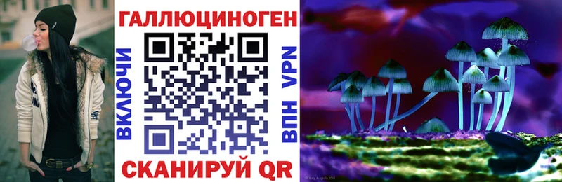 где купить наркотик  маркетплейс официальный сайт  Псилоцибиновые грибы мухоморы  Жердевка 